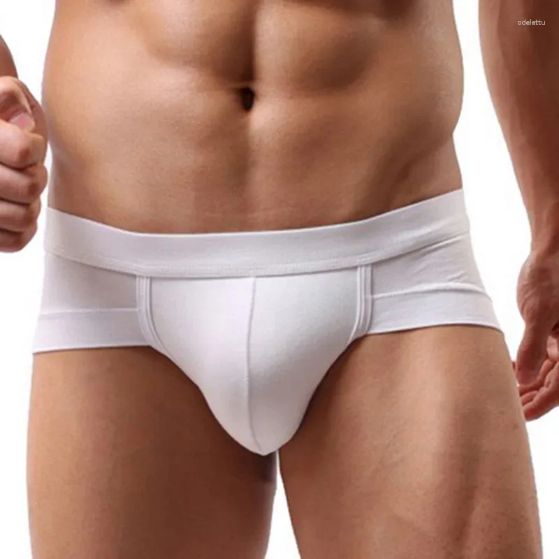 Onderbroek MJARTORIA heren sexy ademende korte comfortabele slips ondergoed katoenen shorts Cueca man mannelijke slipje