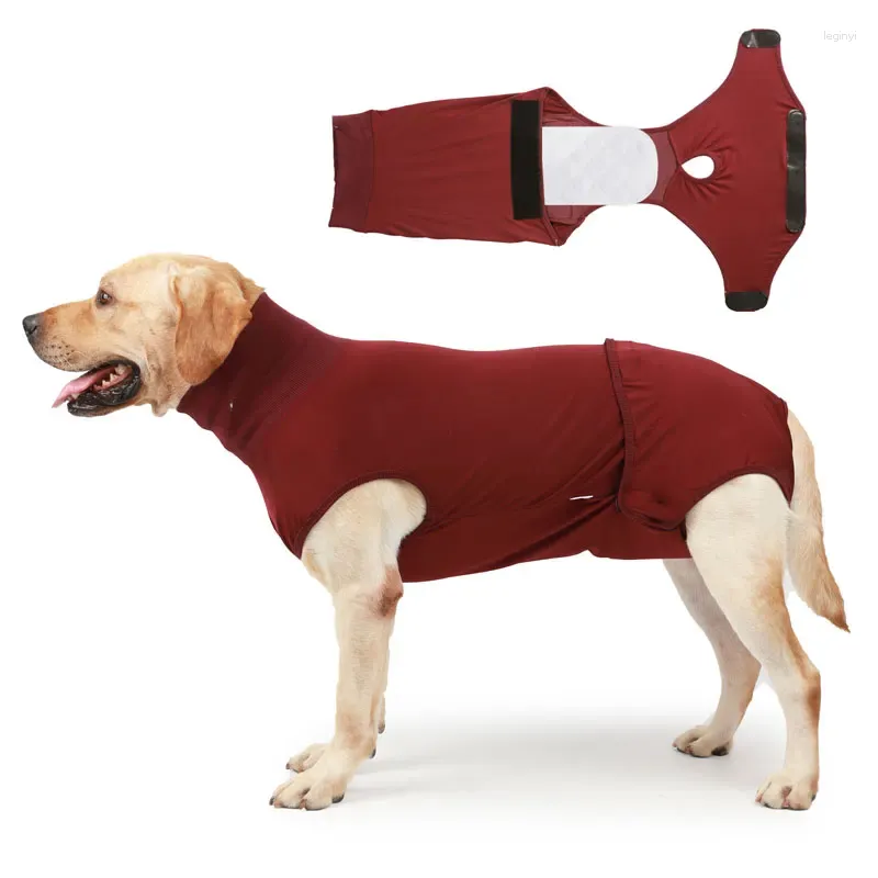 Costume de récupération pour chiens et chats, vêtements professionnels pour animaux de compagnie, blessures abdominales, prévention du léchage, XXS -3XL