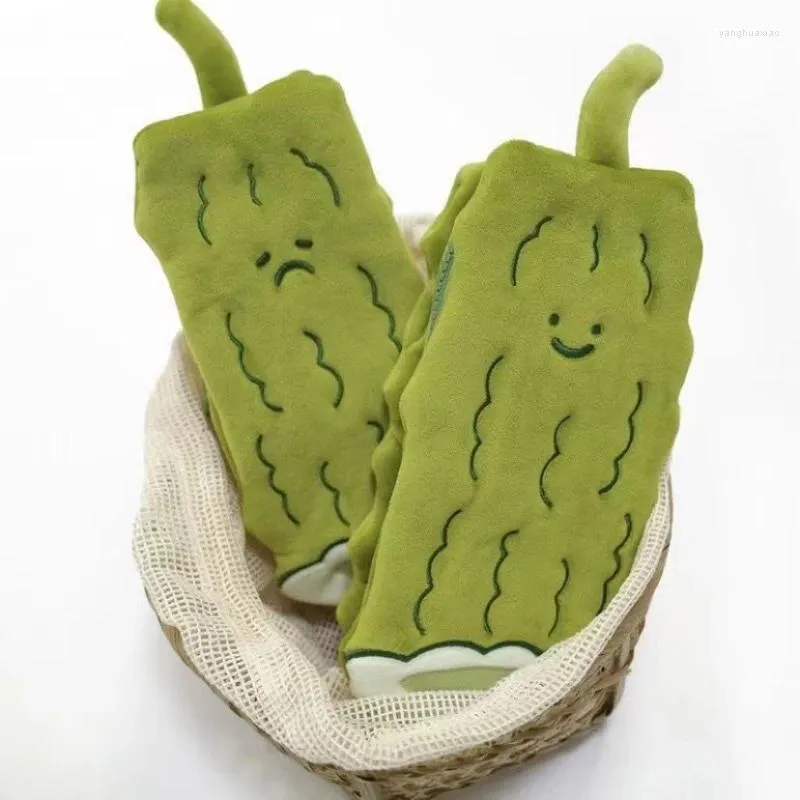 Sac à crayons en peluche mignon et drôle, boîte de rangement verte Instagram japonaise, boîte de papeterie moche Melon amer