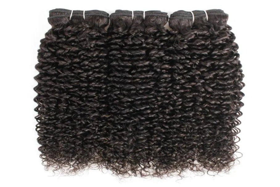 Natuurlijke Kleur 3 Bundels Jerry Krullend Human Hair Extensions Afro Stijl Braziliaanse Peruaanse Maleisische Indiase Remy Weft4464836