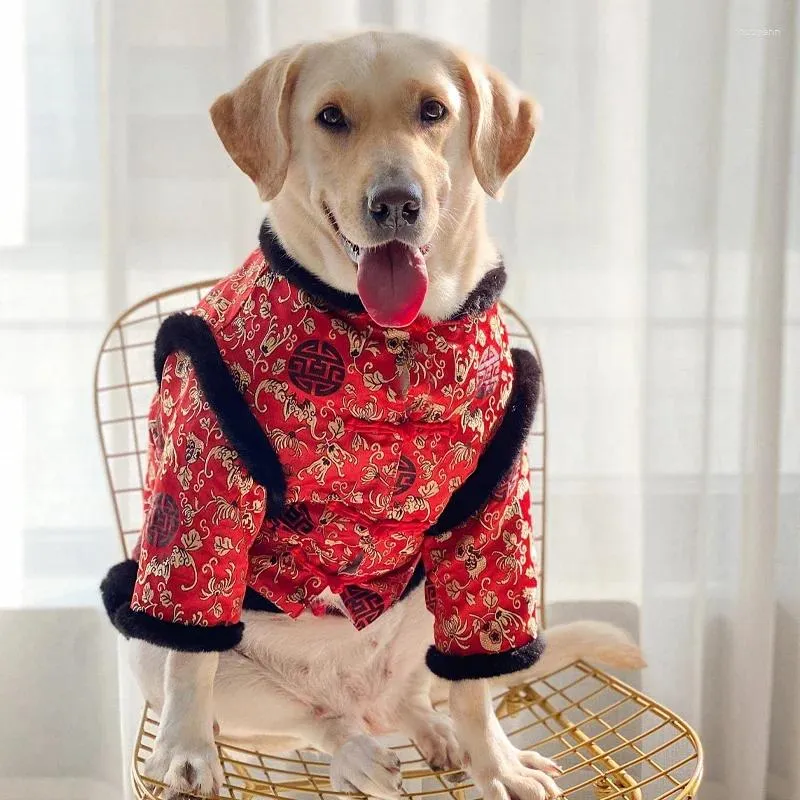 Vêtements pour chiens Vêtements de l'année chinoise Vêtements de festival de printemps Costume Tang Husky Labrador Golden Retriever Grand manteau de costume