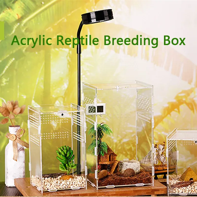 Terrários Acrílico Transparente Réptil Terrário Habitat Caixa de Reprodução Répteis Tartaruga Gaiola Nano Arboreal Tarantula Gabinete Dearded Dragon