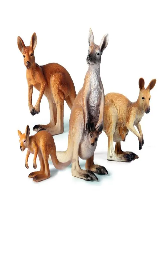 Simulering Kangaroo Action Figures Livtliknande utbildning Barn Barn Wild Animal Model Toy Gift Söt tecknad Toys9026578