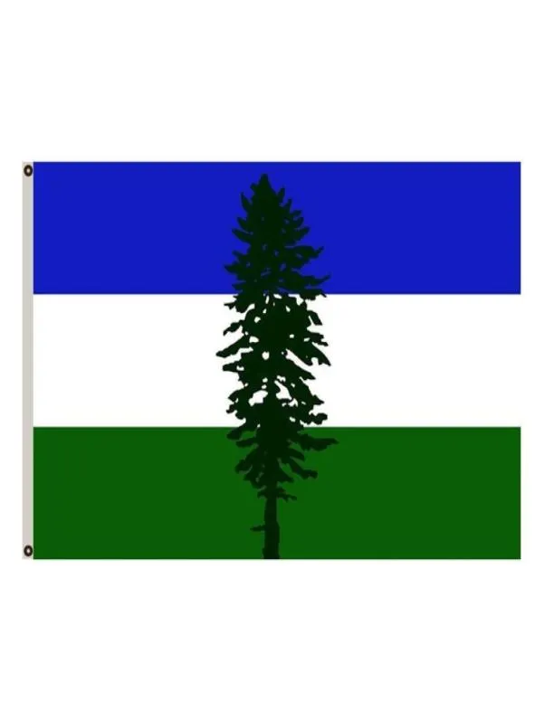 Independence Movement Cascadia Flags Banners 3X5FT 100D Polyester Design 150x90cm Fast Vivid Color With Two Brass Gro5138623