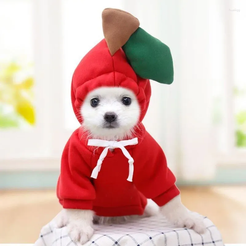 Hundkläder Apple Christmas Costume Hoodie Cat Pet Cloth Clothes Puppy Sweatershirt Halloween Soft bekväm Jumpsuit Cotton Coat Outfit