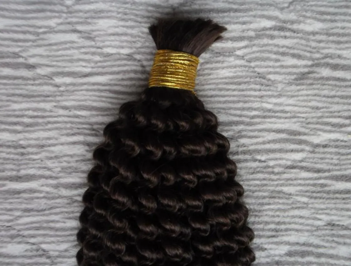 Extensões de cabelo de trança brasileira não processada Kinky Curly Bulk Hair 100g 1 PCS trança em massa sem fixação Crochet Tranças de cabelo Bul7909903
