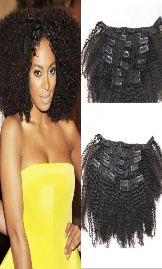 Remy Human Hair Clip In Extensions for African American 4a Mongolian Afro Kinky Curly Hair Clip Ins 824 inch FDSHINE3130379