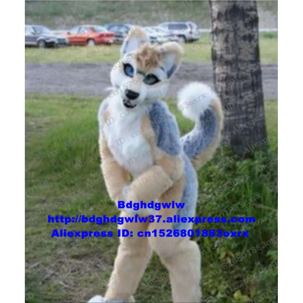 Costumi mascotte Furry Husky Dog Wolf Fursuit Costume mascotte adulto personaggio dei cartoni animati Sessione di apertura Marketplstar Marketplgenius Zx3020