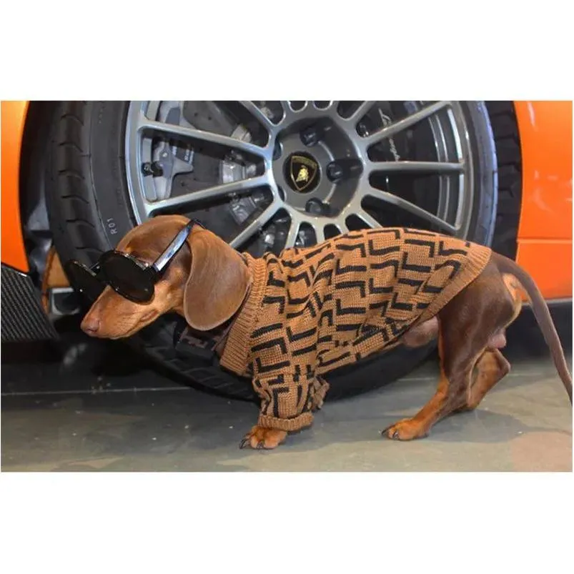 Vêtements pour chiens Vêtements d'hiver pour animaux de compagnie Vêtements de créateurs Pulls pour chiots mignons Lettre F Chiens de luxe Vêtements pour animaux de compagnie Pull chaud pour grand out otwlw