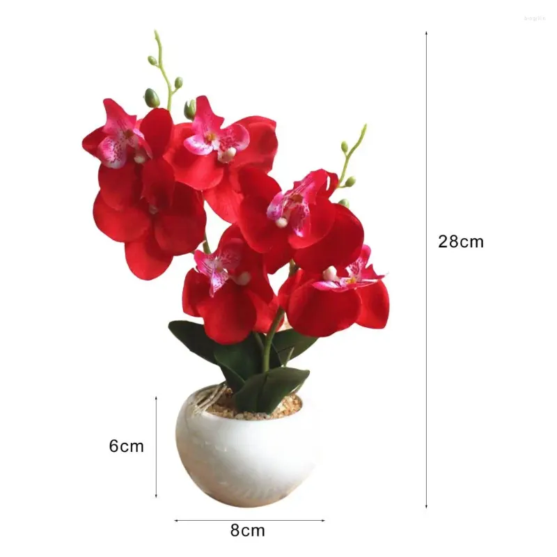 Fleurs décoratives Fausse plante en pot Beautiful Faux Silk Plants Pot Ornement sans arrosage simulation phalaenopsis pour le bureau