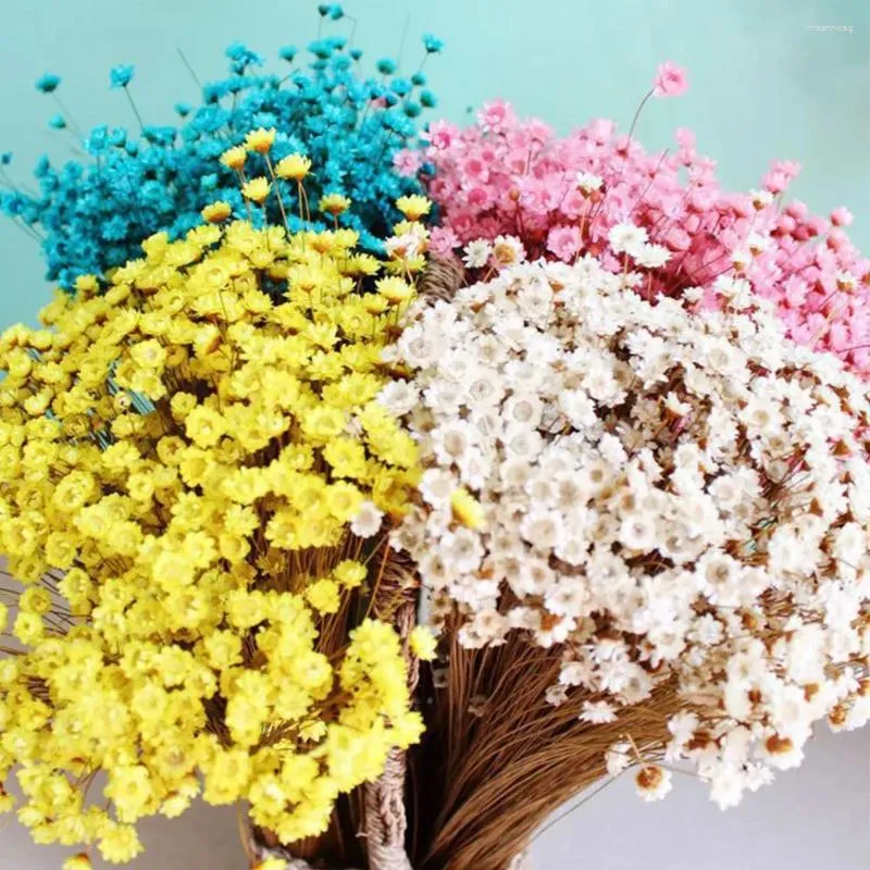 Kwiaty dekoracyjne gipsophila bukiety kolorowe suszone prawdziwe dotyk opiekuńczy szerokie użycie wiecznego oddechu na imprezę
