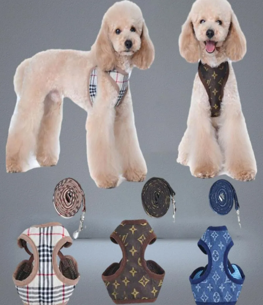 Designer Dog Harness and Leasches Set Classic Patterns Pets Collar Leash Breattable Mesh Pet Harnesses for Small Dogs Poodle Schnau7334230