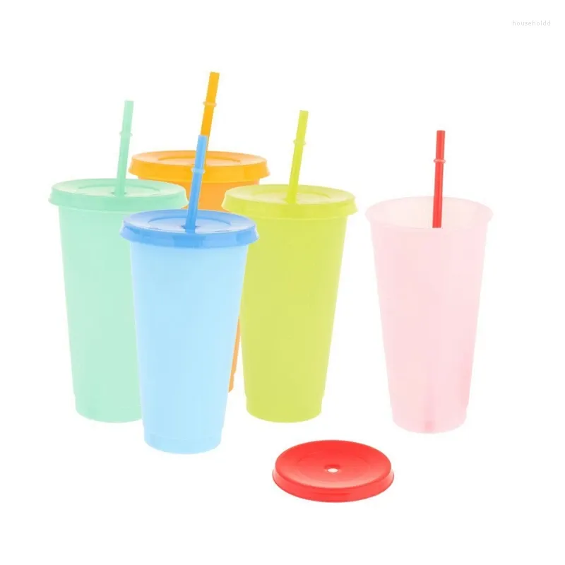 Tumblers 5PCS Color Changing Cup Reusable Tumbler With Lid And Straw Cold 700Ml