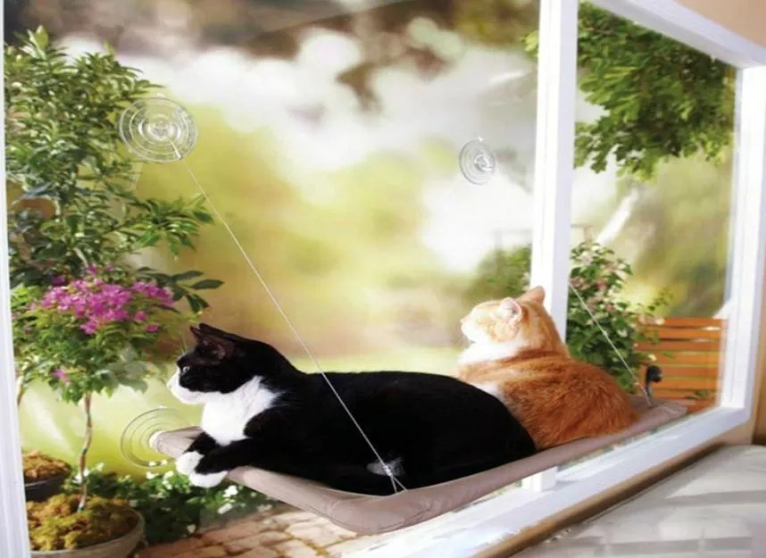 Cute Pet Hanging Beds Bearing 20kg Cat Sunny Seat Window Mount Pet Cat Hammock Comfortable Cat Pet Bed Shelf Seat Beds6753698