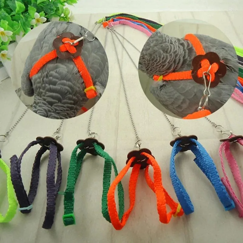 Altre forniture per uccelli Imbracatura Guinzaglio da 3,94 piedi Corda da addestramento regolabile per piccoli uccelli pappagalli