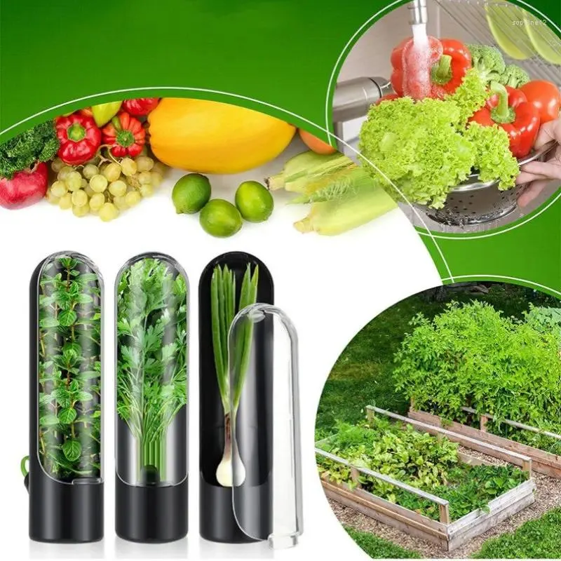 Storage Bottles Anti-pressure Environmental Protection Fresh-keeping Device Creative Dust-proof Cross-border Vanilla Vegetable Box