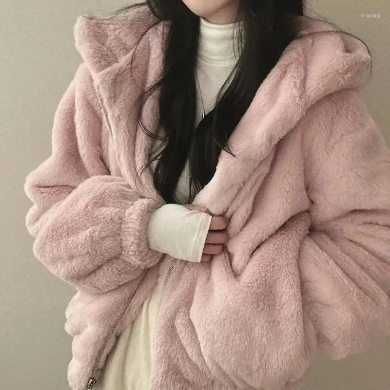 Felpe con cappuccio da donna Giacca in pile di agnello tinta unita Autunno Inverno Capispalla con cerniera Calda giacche in peluche Coreano Harajuku Casual Allentato femminile