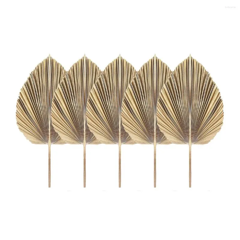 Decoratieve platen 5 stks natuurlijke gedroogde palmbladeren tropische fans boho droge decor voor thuiskeuken bruiloft