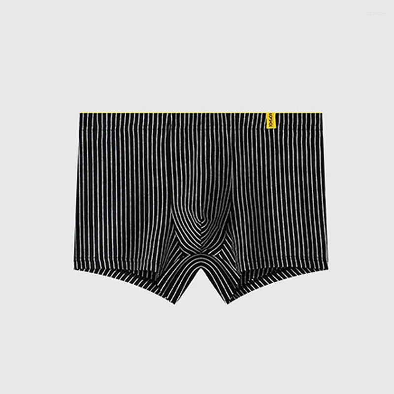 Sous-vêtements pour hommes, culottes en coton pour hommes, Boxer rayé, pochette de sport, troncs Sexy, sous-vêtements confortables