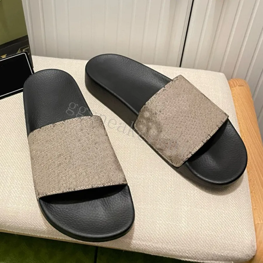 Terlik Tasarımcı Flats Kadın Erkekler Slaytlar Yaz Plajı Sandalet Katırları Moda Bayanlar Flip Flops Sıradan Ev Ayakkabıları