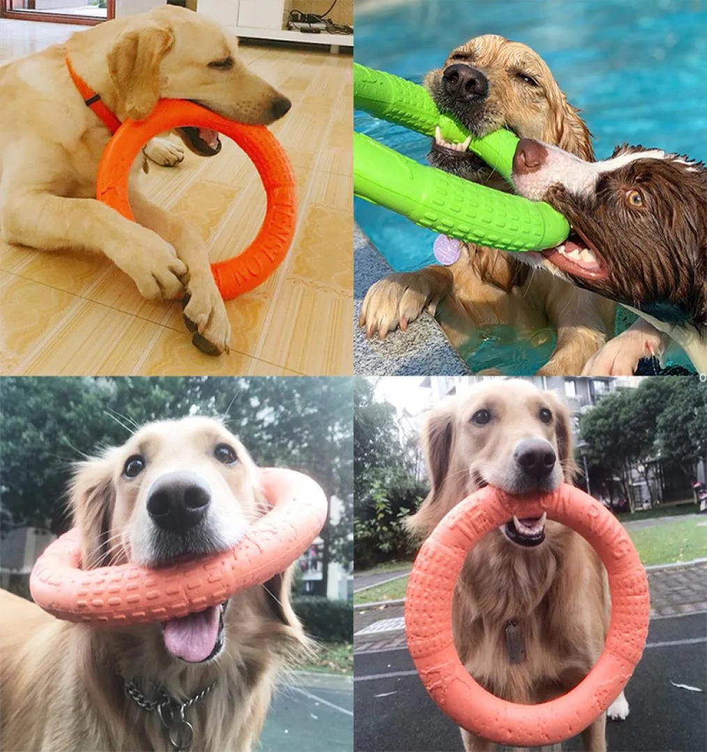 Nouveaux jouets pour chiens pour grands chiens EVA, anneau d'entraînement interactif, extracteur résistant pour chiens, disques volants pour animaux de compagnie, anneau de morsure, jouet pour Sma9068667