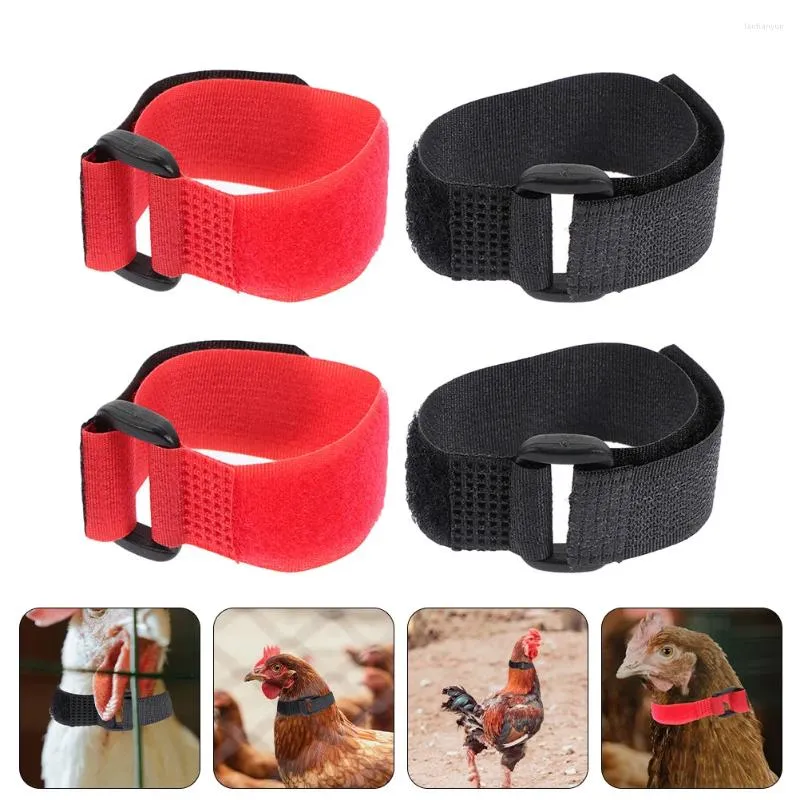 Hundhalsar 4st Anti Crow Rooster Collar Anti-Hook Chicken Neckband Buller Roosters Neck Bälte från skrikande störande grannar