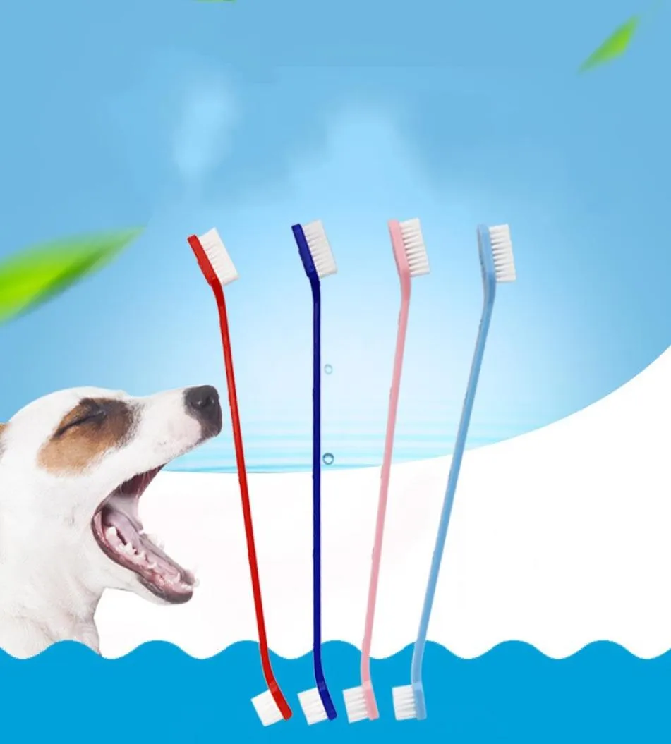 Brosse à dents à Double tête pour animaux de compagnie, brosse à dents professionnelle Portable pour chien, pratique pour nettoyer les dents des animaux de compagnie 53 V21200658