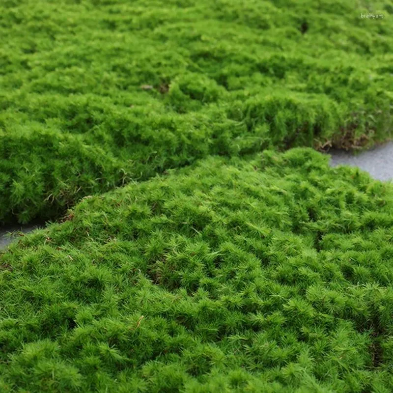 Dekorativa blommor konstgjorda mossa gräsblock torvmatta vägggröna växter simulering hud diy hem gräsmatta mini trädgård mikro landskap dekor