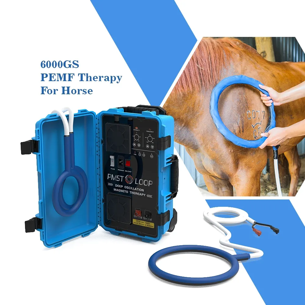 Attrezzatura veterinaria portatile Macchina per terapia magnetica per assistenza sanitaria per cavalli Pmst Loop per sollievo dal dolore del cavallo e riparazione delle ossa Physio Magneto