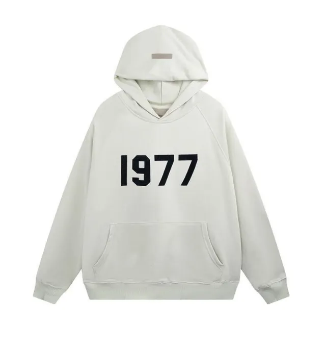 *p(R)ojectR® Logo Hoodie Mサイズ il_1080xN.4481205430_jk1e.jpg