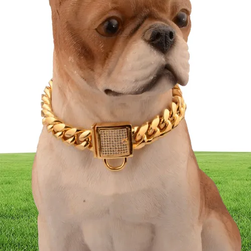 Luxury Diamond Buckle Dog Collar 14mm Stainless Steel Gold Pet