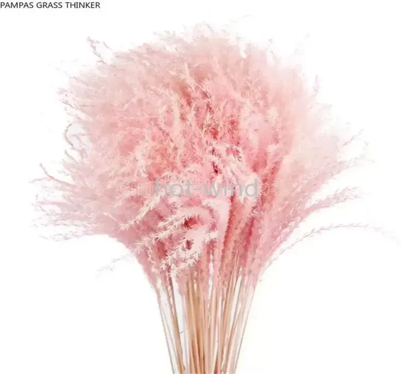 Pampas grama pensador colorido luz natural rosa casamento pampas flores presente do dia dos namorados buquês de flores de junco seco natural whi8048690