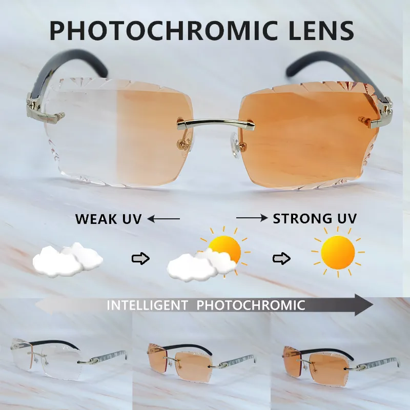 Économisez gros sur les achats en gros de Lunettes De Soleil De Deux  Couleurs Cadres De Verres À Deux Tons: Lunettes De Soleil Photochromiques À 