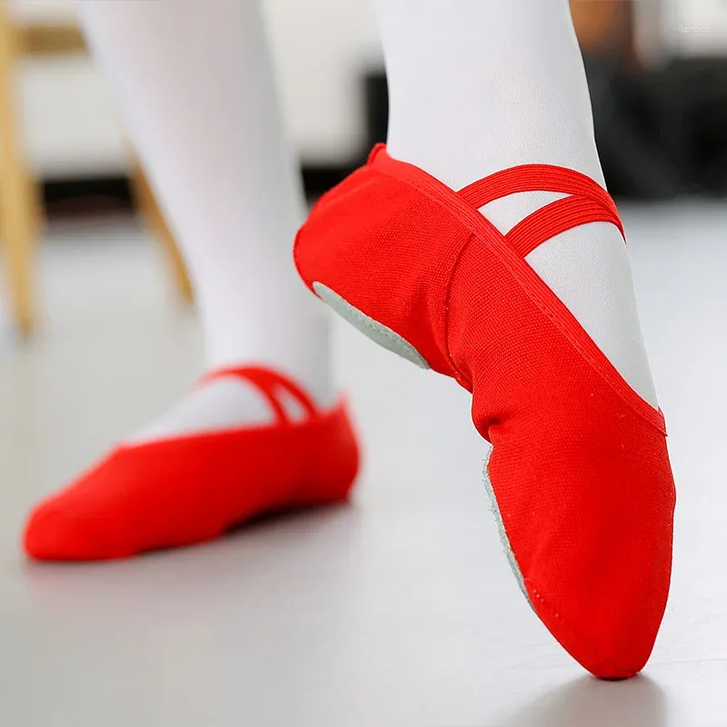 Zapatos de baile Baile Fondo suave Ballet Sin Cuerda Yoga Práctica folclórica Niños Mujer Actuación