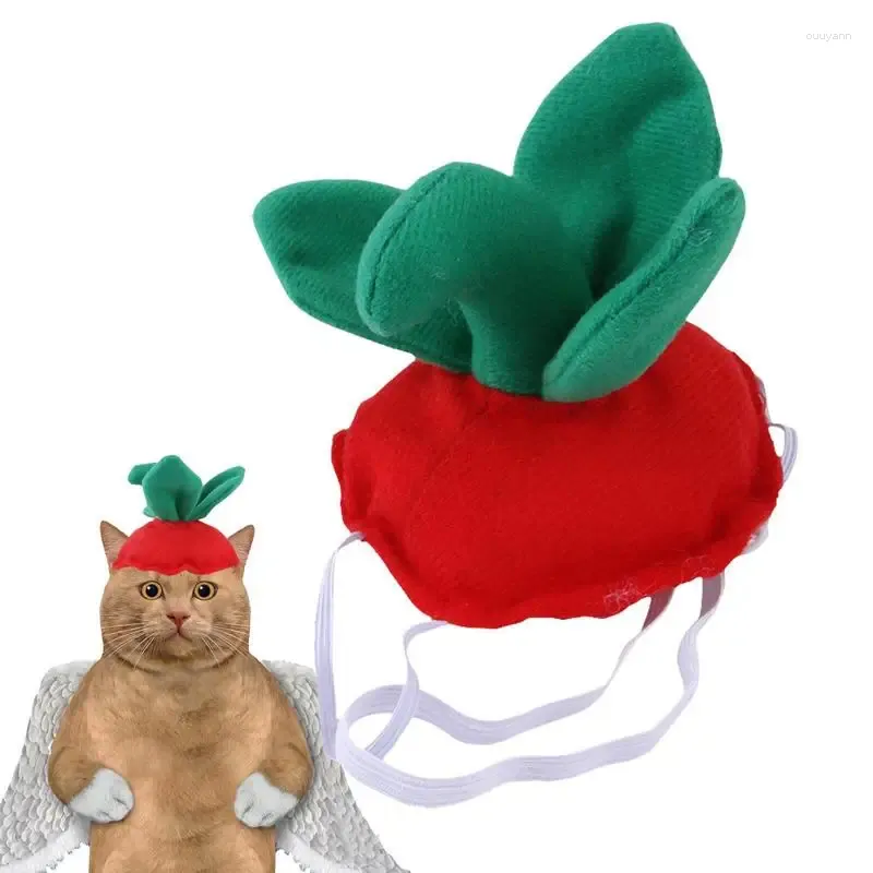 Hundkläder Halloween Pet Hat Cat Strawberry Mjuk och justerbar kostymdekoration Huvudbonader för katter Dogs Chinchillas