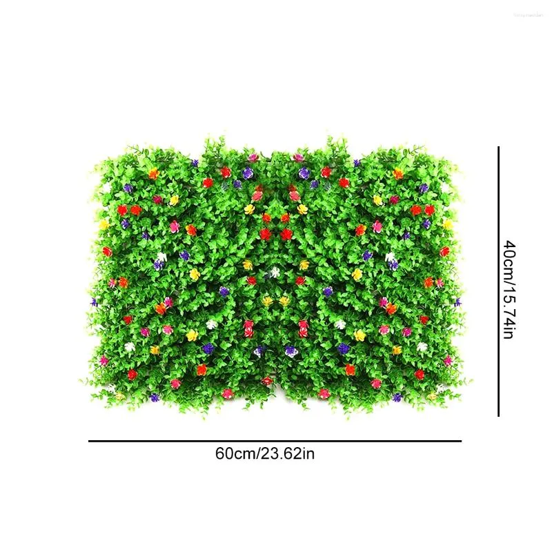efeutute online kaufen Goldene Efeutute (Epipremnum aureum) kaufen