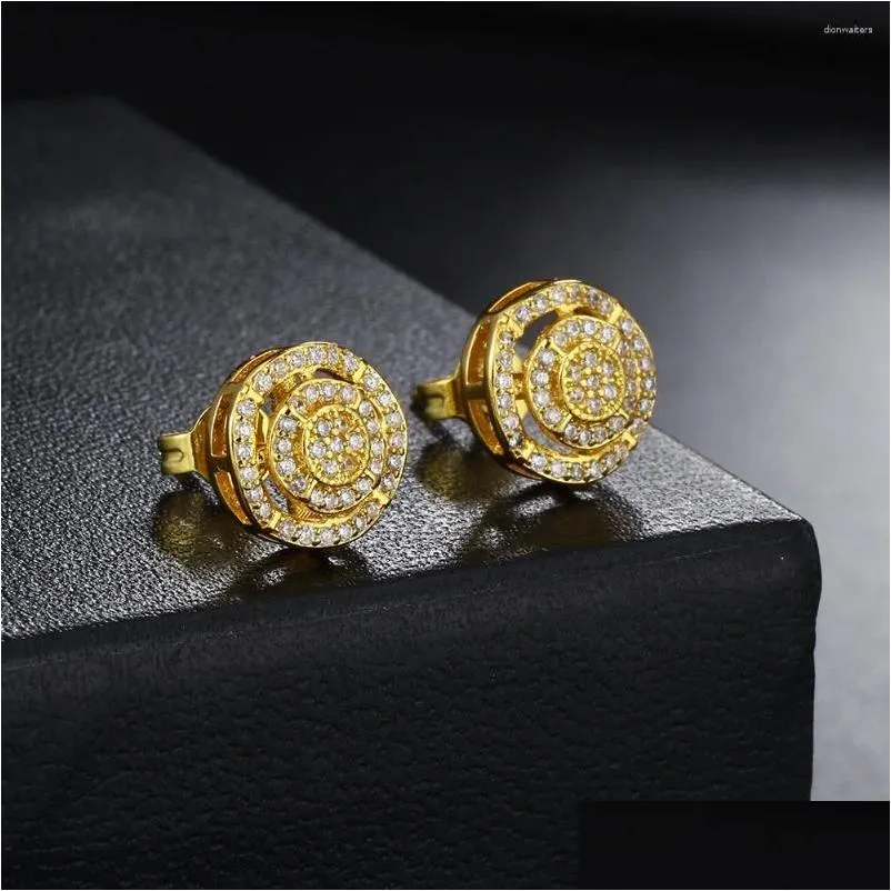 Studörhängen Rock Hip Hop Iced Out Earring For Men Man Studded Zircon Gold Color Piercing Ear Accessories Trend smycken OHE167 Drop Otipi