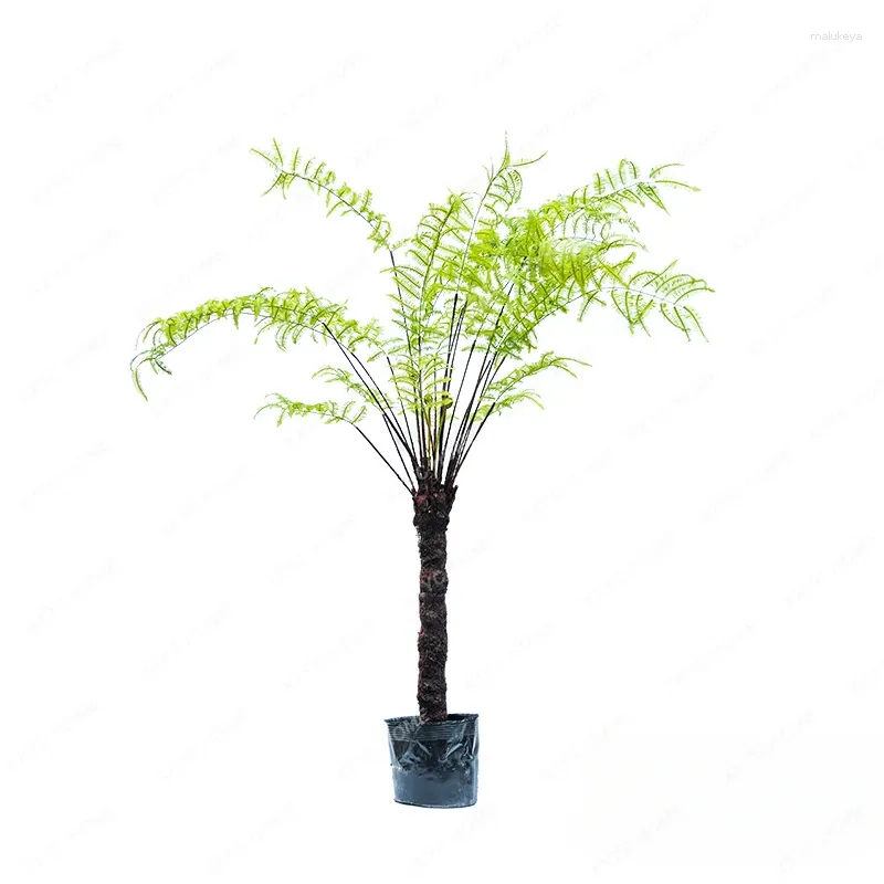 Flores decorativas grande árvore de samambaia artificial bonsai árvores falsas paisagem vegetação piso-pé decorações ornamentos