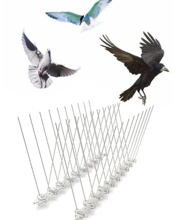 Autres fournitures pour oiseaux Pointes en acier inoxydable EcoFriendly Anti-Climb Guard Sécurité Clôture Mur Jardin Intruder Répulsif Cambrioleur C068034632