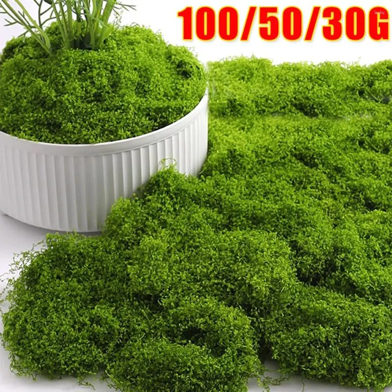 Flores decorativas 100/30g simulação verde musgo falso para vasos de plantas ornamentos micro paisagem flor casa jardim decorações artesanato diy