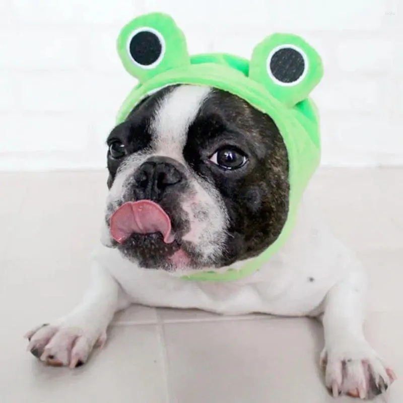 Vêtements pour chiens Chapeau pour animaux de compagnie Peluche Grenouille Couvre-chef Bande de fixation Accessoire de mode pour les fêtes Po Props Nouveauté Cosplay Vacances Hiver