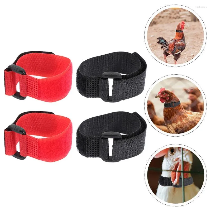 Dog Collars 4 Pcs Cock Neck Strap Anti Crow Rooster Collar Poultry Chicken Ring Plastic For Farm