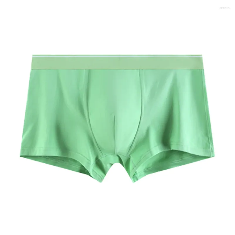 Underpants 1pc Men's Solid Color Cotton Bulge Pouch Boxers Shorts Low Waist Underwear Lingerie Man Comfortable Panties