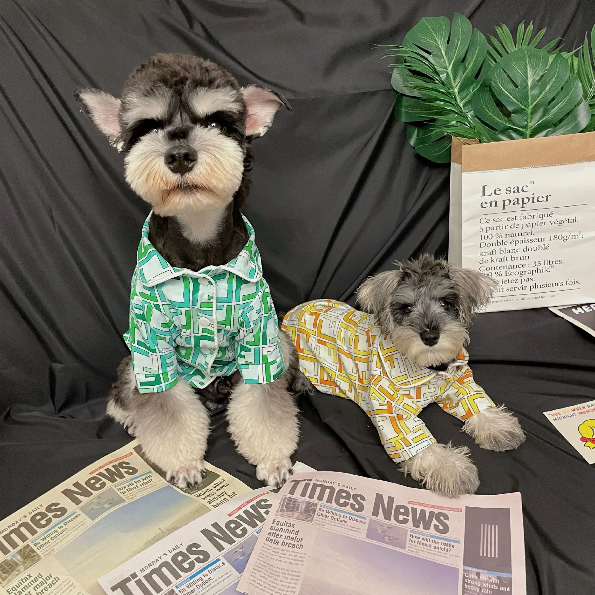 Designer unissex cão respirável camisa letras completas unissex teddy pet roupas moda na moda verão casacos de estimação cão gatos camisa para animais de estimação