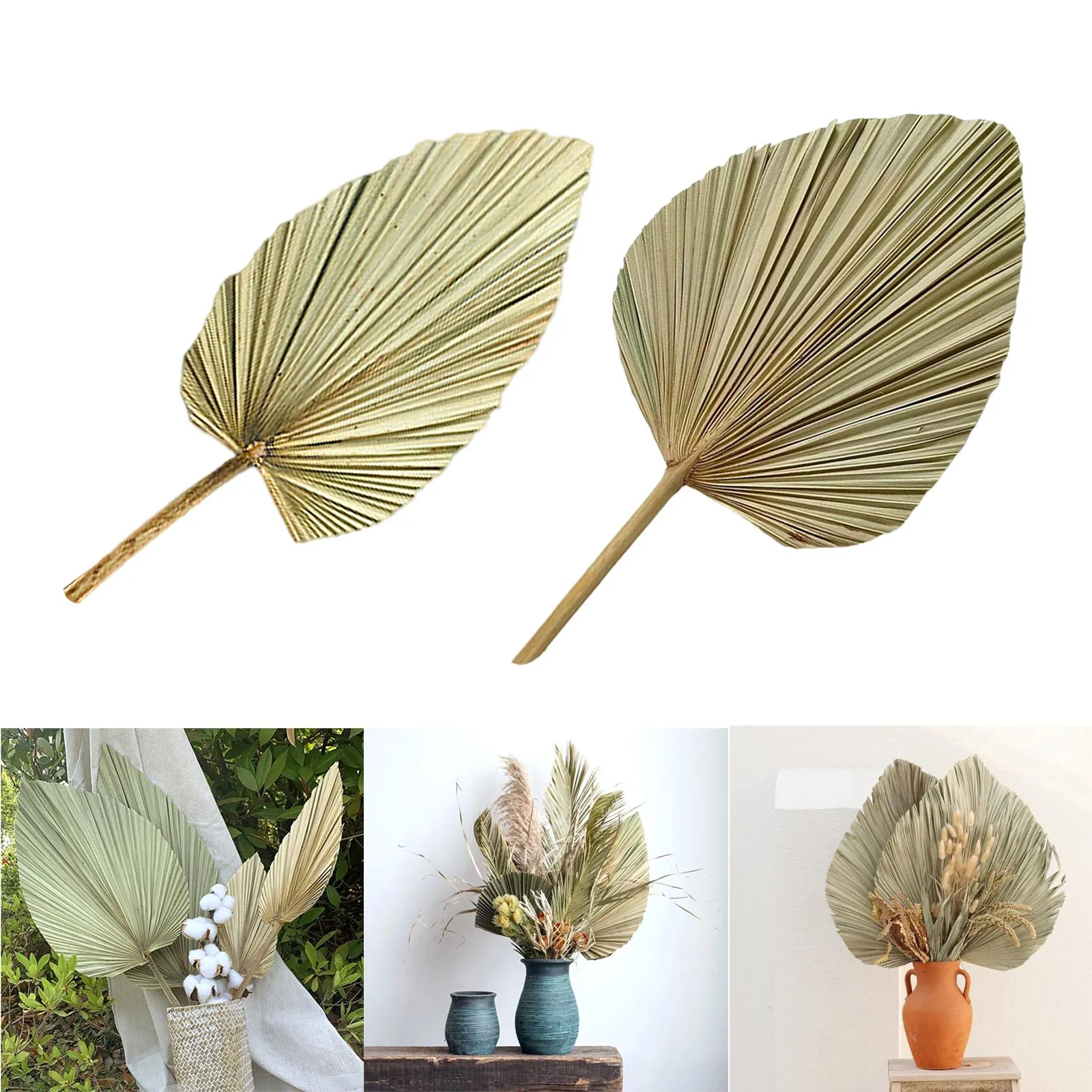 1pc Palm Fan Leaf Dried Flower Palm Leaf Window Reception Party Art Wall Hanging