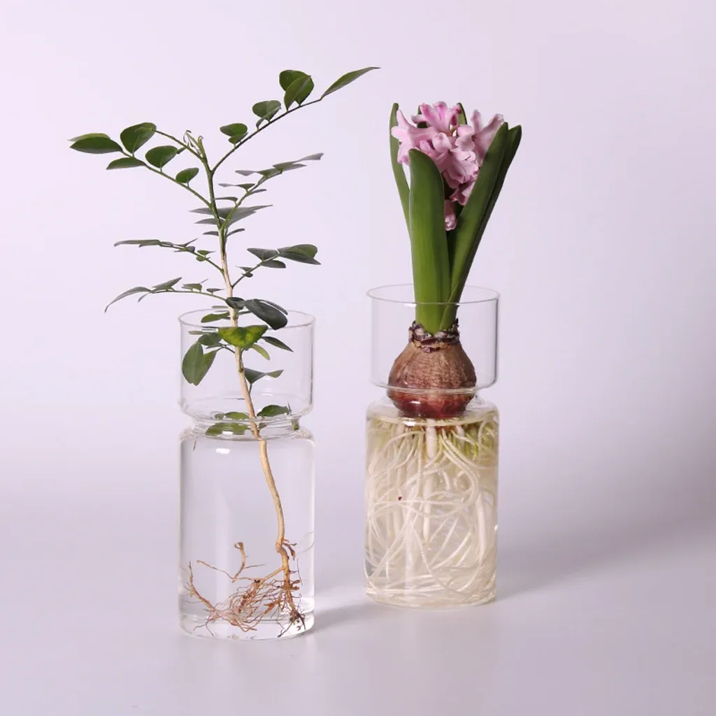 Décorations en verre transparent vase vase transparent plante de plante de fleurs