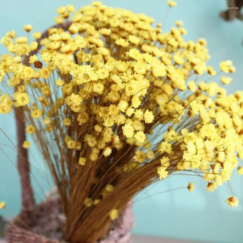 Decorative Flowers 100 Pcs Dried Flower Jelly Home Accents Decor Natural Floral For Decoration