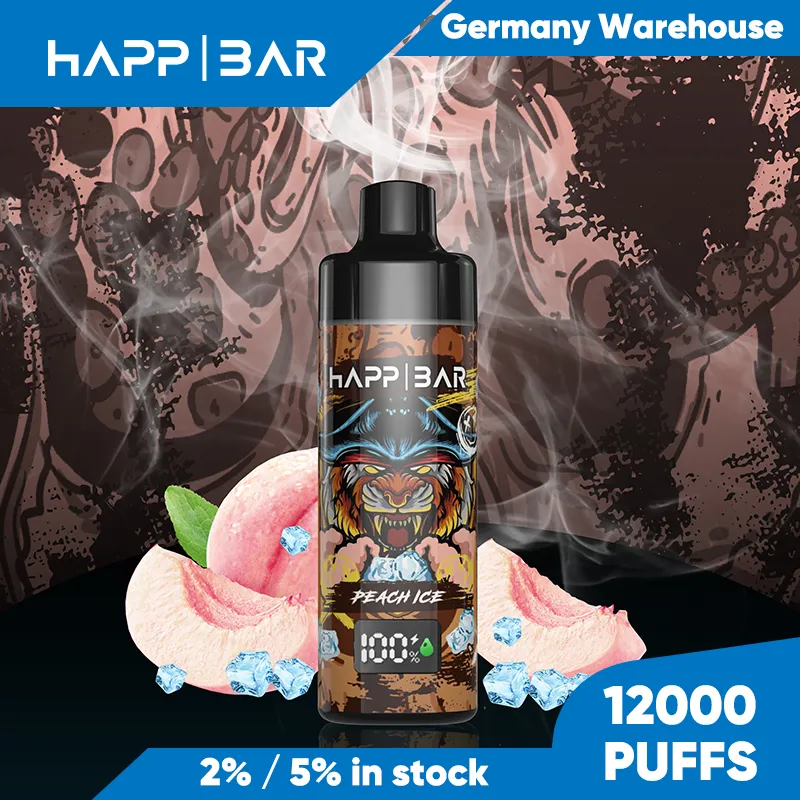 New Stock Electronic Cigarette 12000 Puffs Disposable Vape 2% 5% NIC Salt Vape Germany Warehouse 10 Flavors in Stock