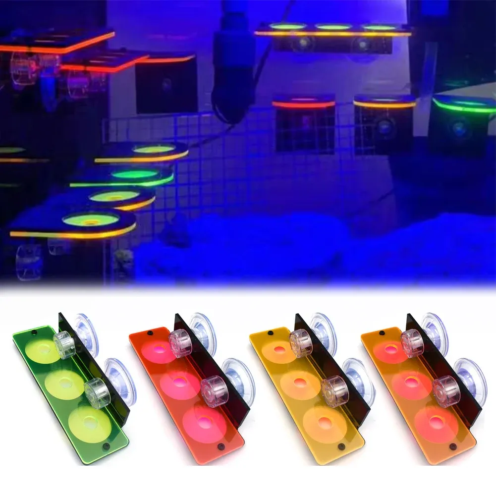 Parts Coral Frag Rack Fish Tank Fluorescence Coral Frag Rack Bracket Acrylic Aquarium Reef with Plugs Holder Suction Cup Accessories