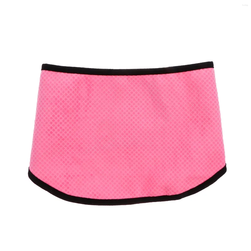 Vêtements pour chiens Pet Cool Foulard Accessoires pour petits chiens Débardeur Été Refroidissement Serviette de glace